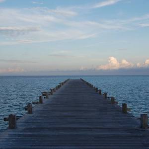 很鲁鲁在线视频
